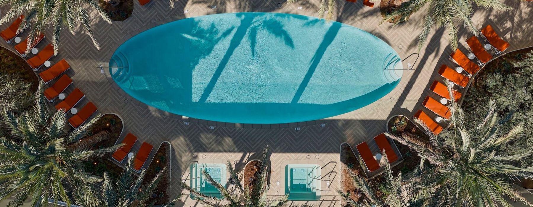 aerial view of a pool surrounded by palm trees