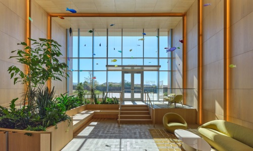 a lounge with plants seating and large windows